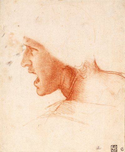 Studie van een krijgershoofd voor de Slag bij Anghiari door Leonardo da Vinci